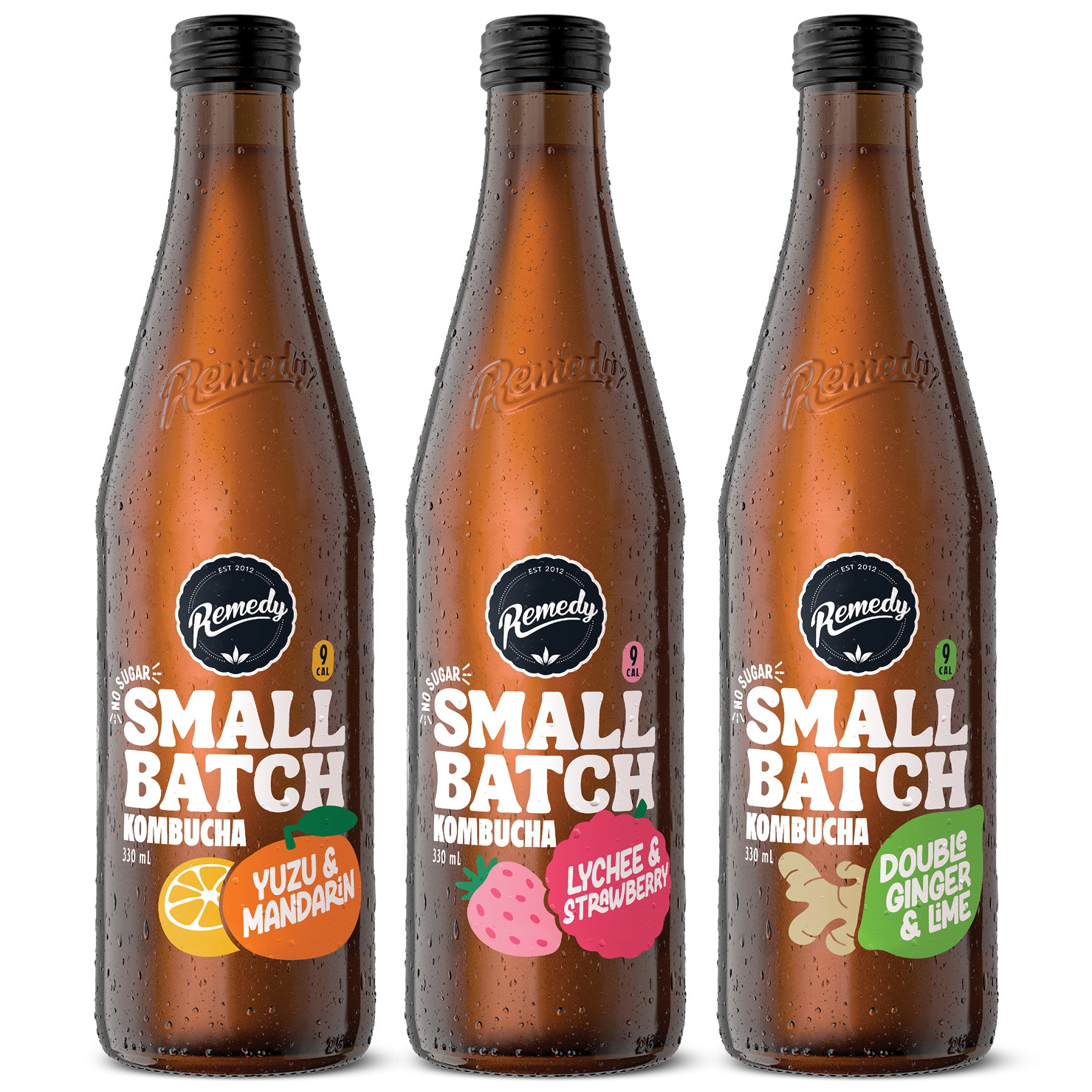 Remedy Kombucha Small Batch Mixed Case | Remedy Drinks